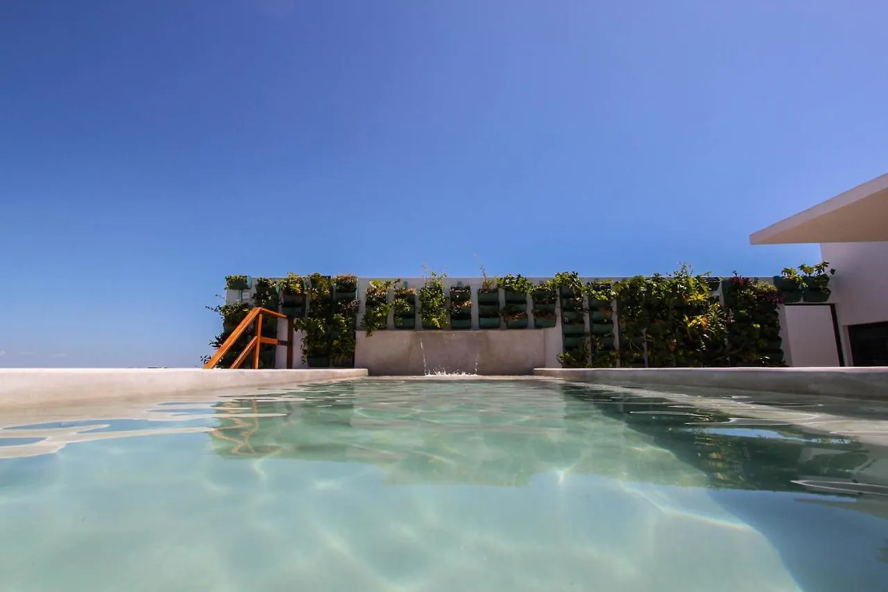 Zulim Condo - 302 Playa del Carmen